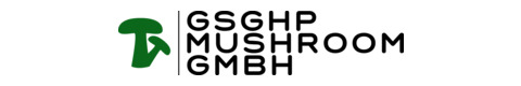 mush logo size